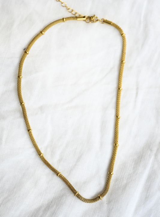 Forget Me Knot